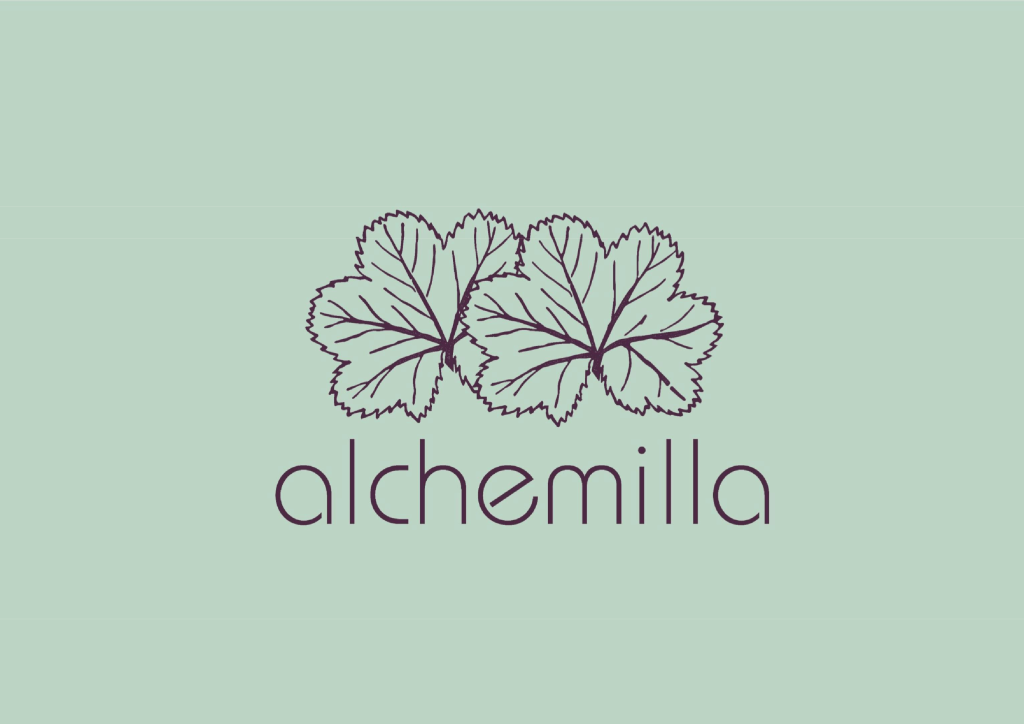 Alchemilla